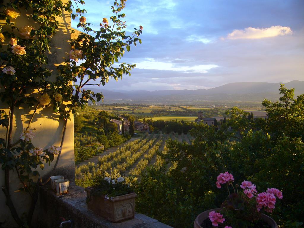 Villa Della Genga Country Houses Poreta Εξωτερικό φωτογραφία